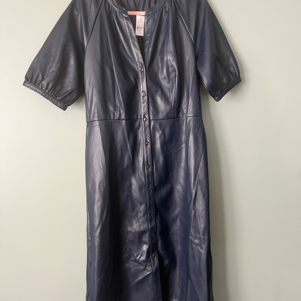 Ann Taylor Blue Faux Leather Dress